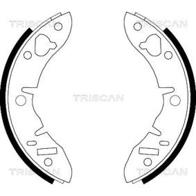 Acquista Kit ganasce freni da TRISCAN 8100 17033 a buon mercato per soli 39,38 €