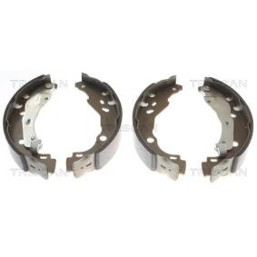 Bremsbackensatz 8100 25001 für NISSAN