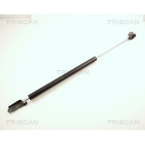 Bremsbackensatz von TRISCAN