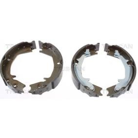 Acquista Ganasce freno a mano da TRISCAN 8100 43016 a buon mercato per soli 51,46 €