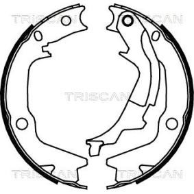 Acquista Ganasce freno a mano da TRISCAN 8100 43022 a buon mercato per soli 75,43 €