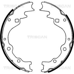 Bremsbackensatz von TRISCAN
