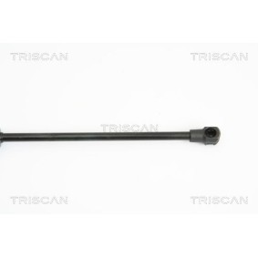 Bremsbeläge von TRISCAN