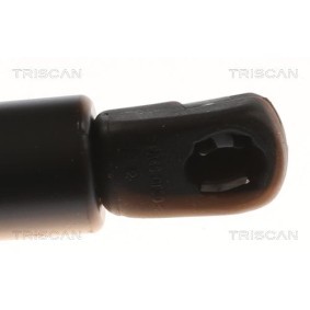 Bremsbeläge von TRISCAN