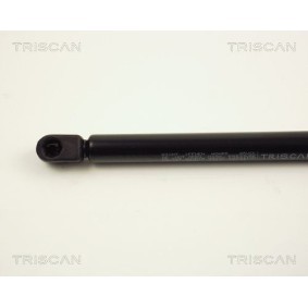 Comprar Juego de pastillas de freno de TRISCAN 8110 43021 a bajo precio de 43,43 €
