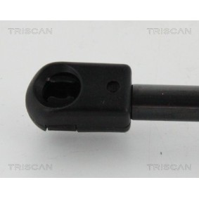 Bremsbeläge von TRISCAN