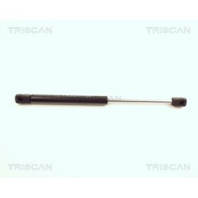 Bremsscheibe von TRISCAN