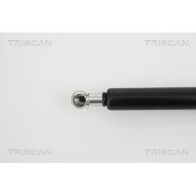 Bremsscheibe von TRISCAN