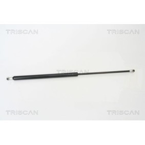 Bremsscheibe von TRISCAN