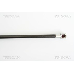 Bremsscheibe von TRISCAN