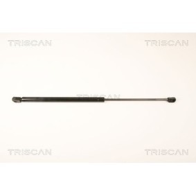 Bremsscheibe von TRISCAN