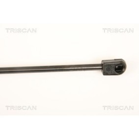Bremsscheibe von TRISCAN