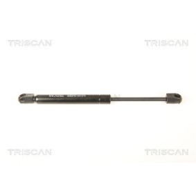 Bremsscheibe von TRISCAN