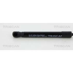 Bremsscheibe von TRISCAN