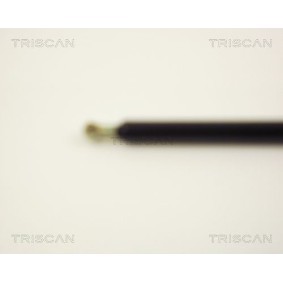 Bremsscheibe von TRISCAN