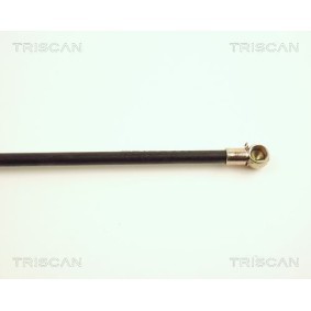 Bremsscheibe von TRISCAN