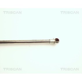 Bremsscheibe von TRISCAN