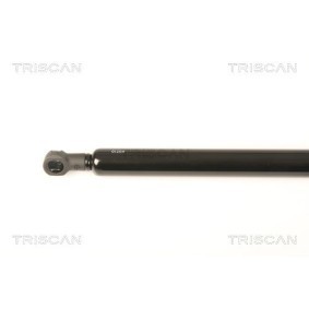 Bremsscheibe von TRISCAN