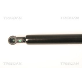 Bremsscheibe von TRISCAN
