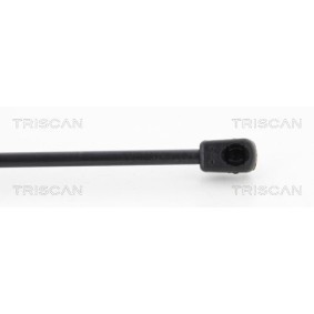 Bremsscheibe von TRISCAN