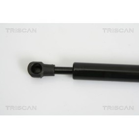 Bremsscheibe von TRISCAN