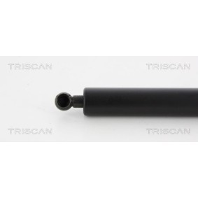 Bremsscheibe von TRISCAN