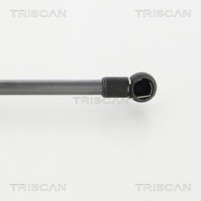 Bremsscheibe von TRISCAN