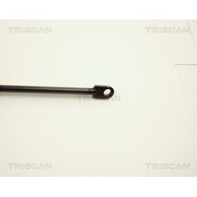 Bremsscheibe von TRISCAN