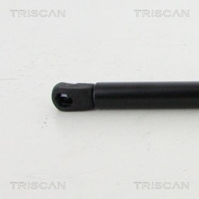 Bremsscheibe von TRISCAN