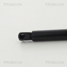 Bremsscheibe von TRISCAN