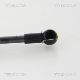 Bremsscheibe von TRISCAN
