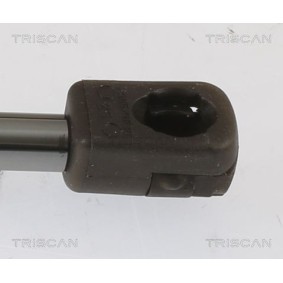 Bremsscheibe von TRISCAN