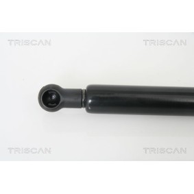 Bremsscheibe von TRISCAN