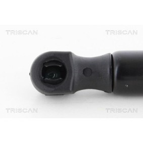 Bremsscheibe von TRISCAN