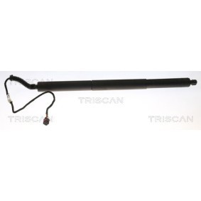 Bremsscheibe von TRISCAN