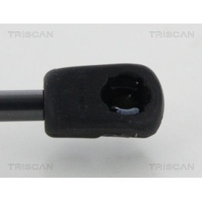 Bremstrommel für TOYOTA von TRISCAN