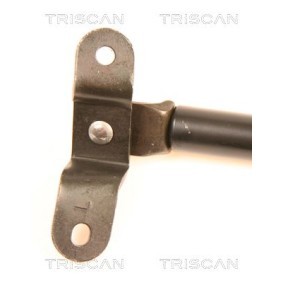 Bremsscheibe von TRISCAN