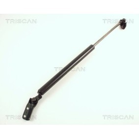 Acquista Disco freno da TRISCAN 8120 17112 a buon mercato per soli 29,51 €