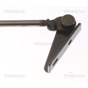 Bremsscheibe von TRISCAN
