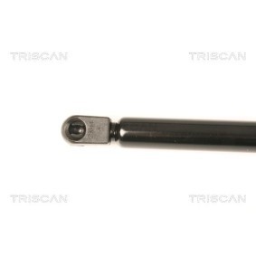 Bremsscheibe von TRISCAN