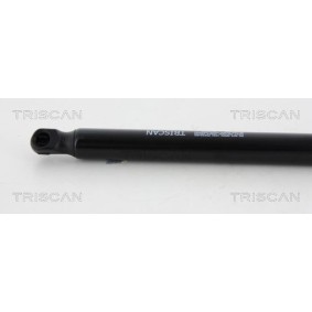 Bremsscheibe von TRISCAN