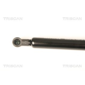 Compre Tambor de travão da TRISCAN 8120 21204 a um preço baixo por 53,93 €