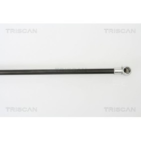 Bremsscheibe für MERCEDES-BENZ von TRISCAN