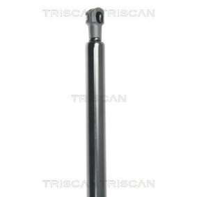 Bremsscheibe von TRISCAN