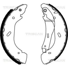 Bremsscheibe von TRISCAN