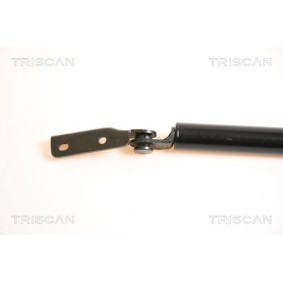 Bremsscheibe von TRISCAN