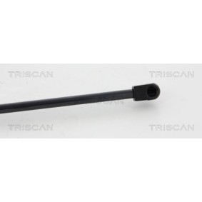 Bremsscheibe von TRISCAN