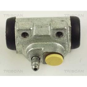 Radbremszylinder für CITROËN von TRISCAN