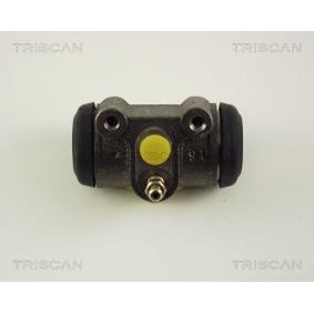 Radbremszylinder für CITROËN von TRISCAN