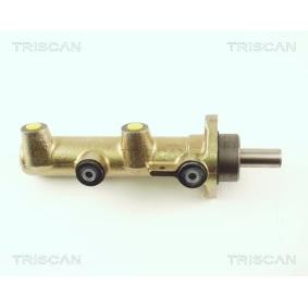 Hauptbremszylinder für PEUGEOT von TRISCAN